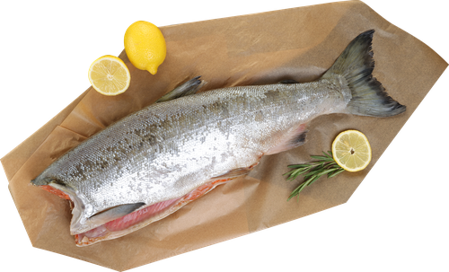 Кижуч Тихоокеанский потрошеный без головы (из замороженного сырья) ЛЕНТА FRESH, весовой, фото