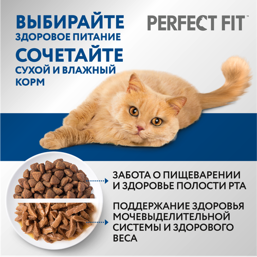 Корм сухой для кошек Perfect Fit с курицей, 650г, вид