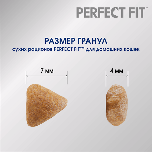 Корм сухой для кошек Perfect Fit с курицей, 650г, фотография