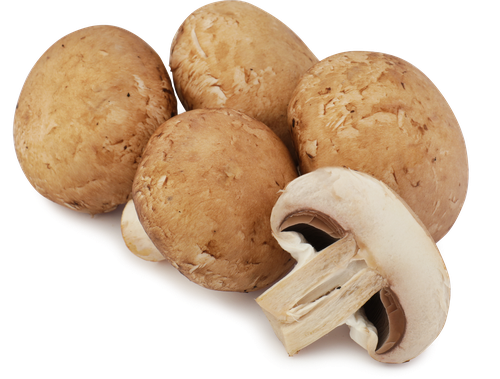 Шампиньоны Королевские, весовые, крупный план