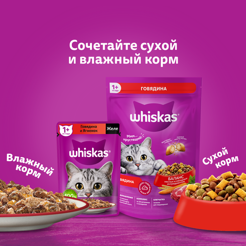 Корм сухой для взрослых кошек WHISKAS Вкусные подушечки с нежным паштетом, Аппетитный обед с говядиной, 350г, изображение