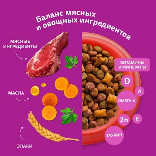Корм сухой для взрослых кошек WHISKAS Вкусные подушечки с нежным паштетом, Аппетитный обед с говядиной, 350г, картинка