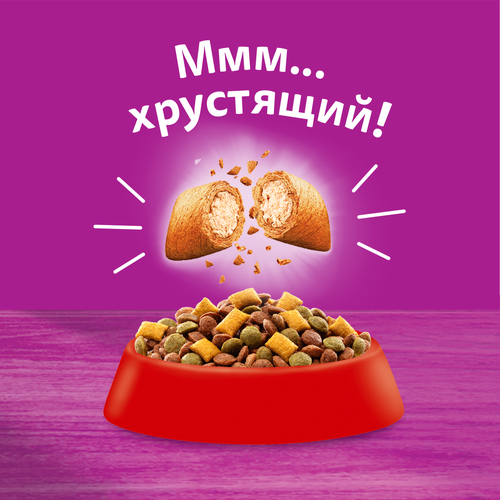 Корм сухой для взрослых кошек WHISKAS Вкусные подушечки с нежным паштетом, Аппетитный обед с говядиной, 350г, детальное фото