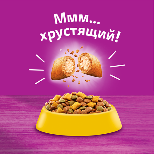 Корм сухой для взрослых кошек WHISKAS Вкусные подушечки с нежным паштетом, Аппетитное ассорти с курицей и индейкой, 350г, фотография