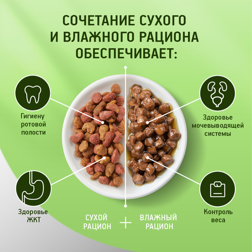 Корм консервированный для кошек KITEKAT с сочными кусочками рыбы в соусе, 85г, детальное фото