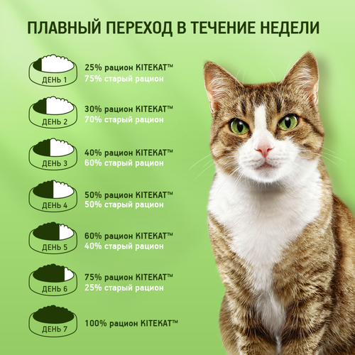 Корм консервированный для кошек KITEKAT с сочными кусочками рыбы в соусе, 85г, детальное фото