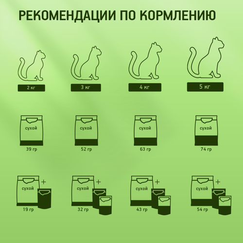 Корм консервированный для кошек Kitekat Сочная говядина в соусе, 85г, фотография