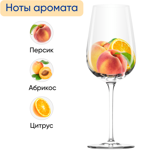 Вино ASTRALE белое сухое, 0.75л, вид