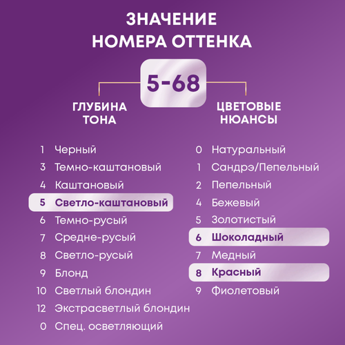 Крем-краска для волос ПАЛЕТТ Интенсивный цвет 5–68 (R4) Каштан, 110мл, крупный план