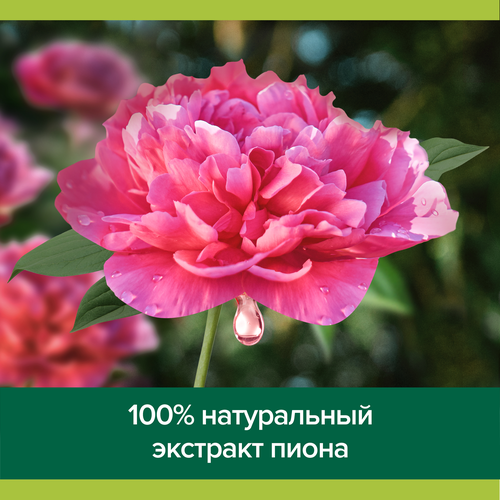 Гель для душа PALMOLIVE Роскошь масел с маслом макадамии и экстрактом пиона, 250мл, вид