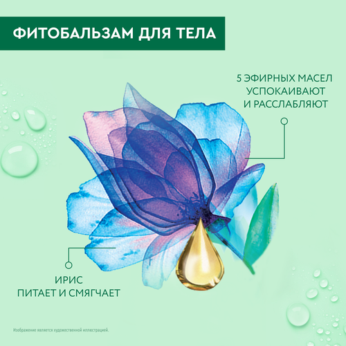 Фитобальзам для тела ЧИСТАЯ ЛИНИЯ Повышающий упругость, 200мл, крупный план