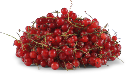 Смородина красная свежая, 250г, крупный план