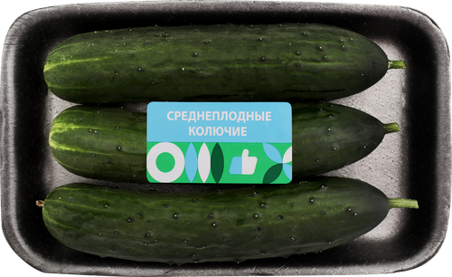 Огурцы тепличные колючие среднеплодные, 600г, крупный план