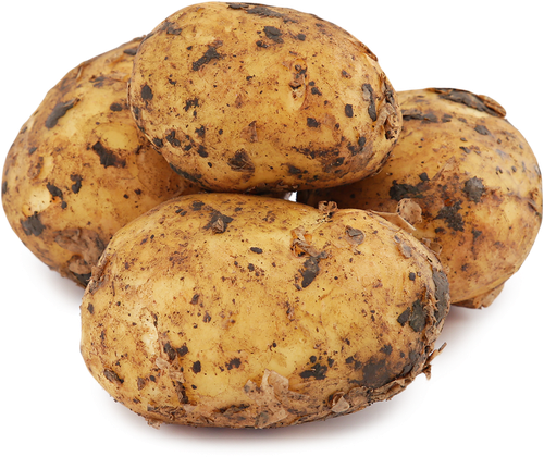 Картофель белый отборный, весовой, крупный план