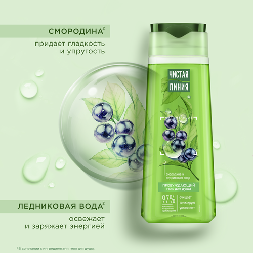 Гель для душа ЧИСТАЯ ЛИНИЯ Пробуждающий Смородина и ледниковая вода, 250мл, крупный план