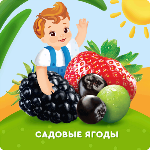 Напиток детский АГУША Садовые ягоды вода с соком, с 12 месяцев, 300мл, фото