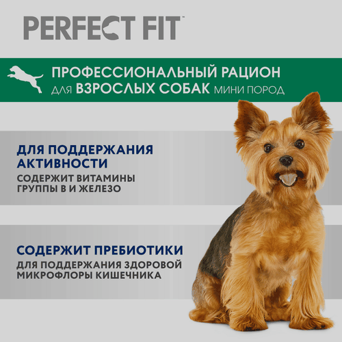 Корм сухой для собак Perfect Fit с курицей для мелких и миниатюрных пород 1+, 500г, фотография