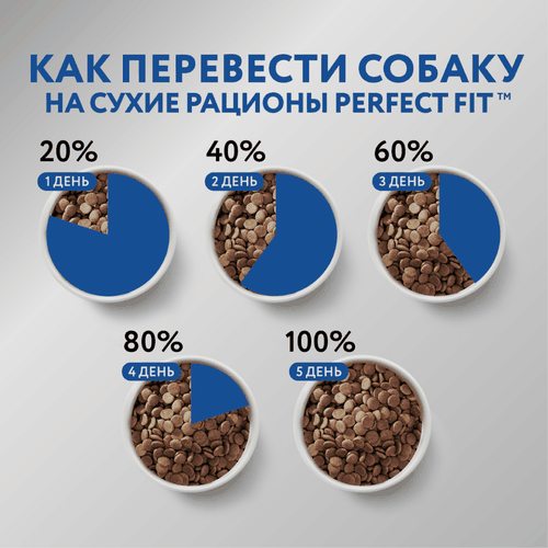 Корм сухой для собак Perfect Fit с курицей для мелких и миниатюрных пород 1+, 500г, фотография