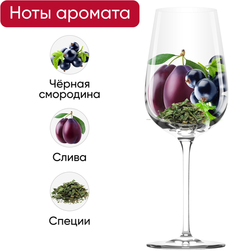 Вино STEAKWINE Каберне Совиньон Мендоса ординарное красное полусухое, 0.75л, картинка