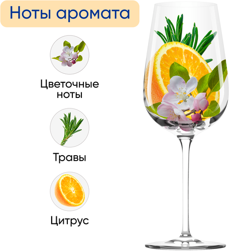 Вино STEAKWINE Торронтес Мендоса ординарное белое полусухое, 0.75л, детальное фото