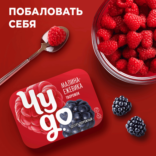 Десерт творожный ЧУДО Творожок взбитый Малина, ежевика двухслойный 4,2%, без змж, 100г, вид