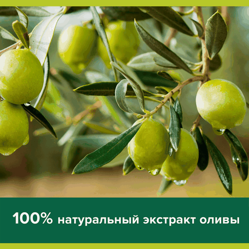 Туалетное мыло PALMOLIVE Натурэль Интенсивное увлажнение с экстрактом оливы и увлажняющим молочком, 90г, вид