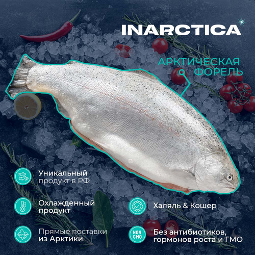 Форель морская INARCTICA потрошеная с головой 2–8кг, весовая, детальное фото