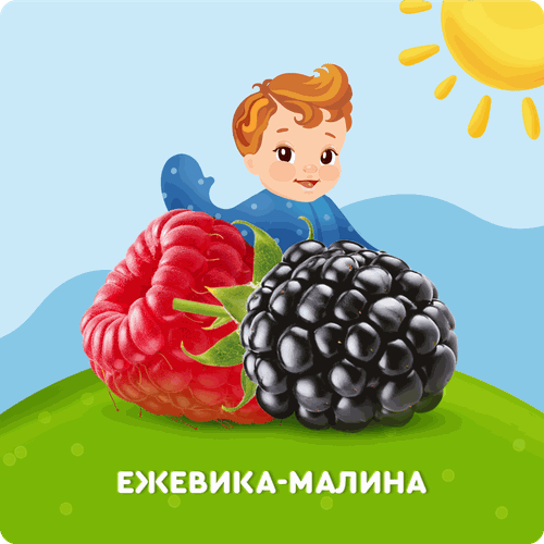 Творог фруктовый АГУША Ежевика-малина, с 6 месяцев, 3,9%, без змж, 100г, картинка