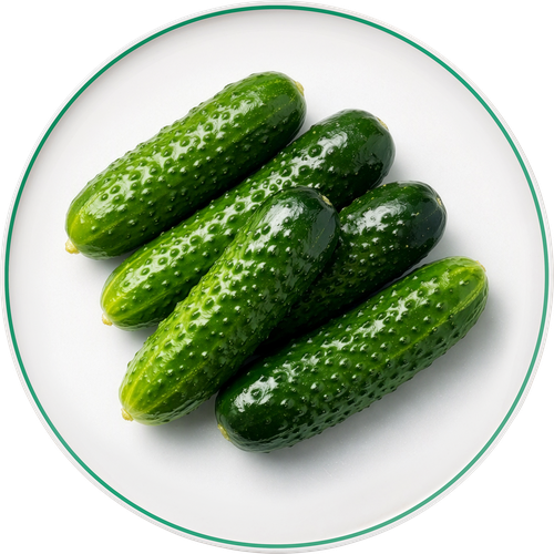 Огурцы малосольные ЛЕНТА FRESH, весовые, изображение