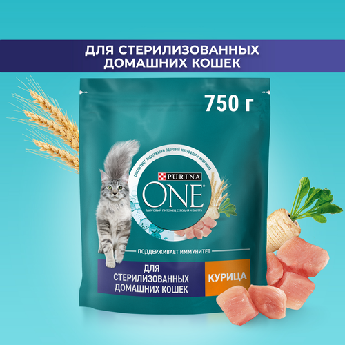 Корм сухой для взрослых кошек PURINA ONE для стерилизованных и кастрированных, живущих в домашних условиях, с высоким содержанием курицы и цельными злаками, 750г, крупный план