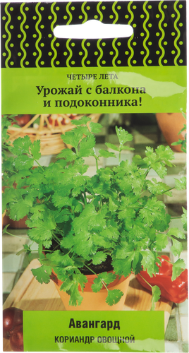 Семена ПОИСК Кориандр Авангард, 1г, крупный план