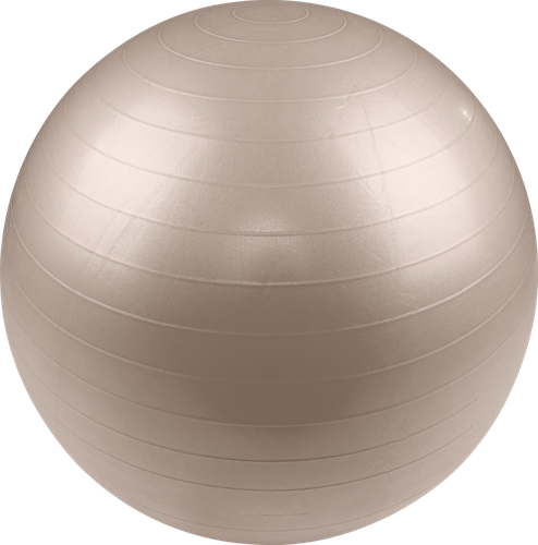 Мяч гимнастический ACTIWELL d=75см, с насосом, Арт. IR97403-75, фотография