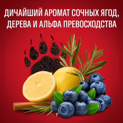 Гель-шампунь для душа мужской OLD SPICE Bearglove 2в1, 400мл, фото