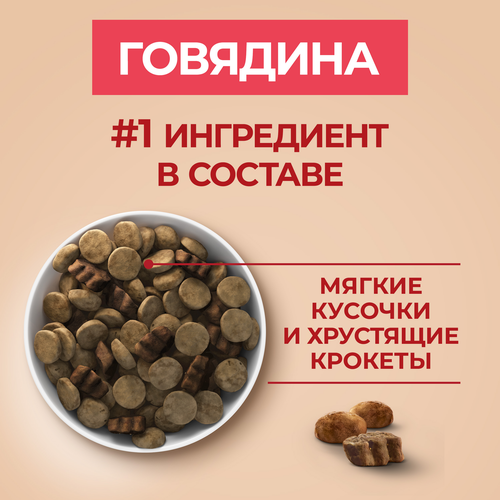 Корм сухой для взрослых собак PURINA ONE Говядина, для средних и крупных пород, 1,8кг, фото