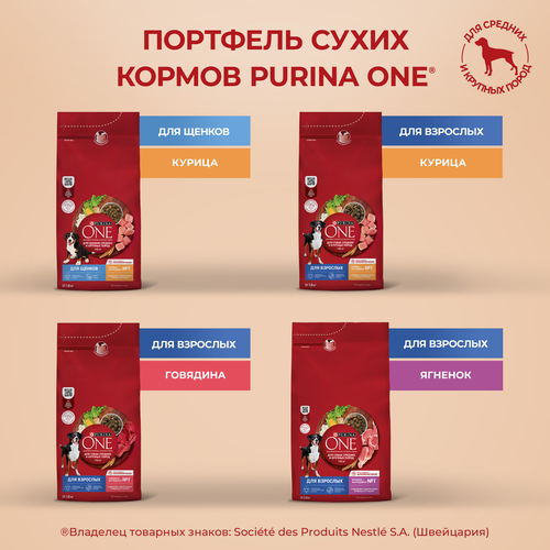 Корм сухой для взрослых собак PURINA ONE Говядина, для средних и крупных пород, 1,8кг, фотография