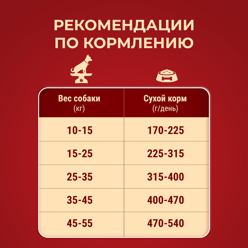 Корм сухой для взрослых собак PURINA ONE Говядина, для средних и крупных пород, 1,8кг, детальное фото