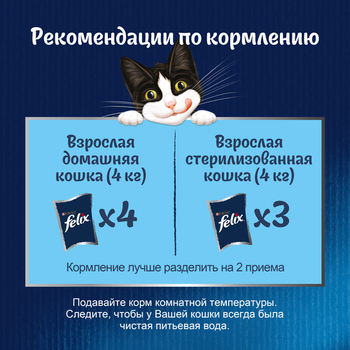 Корм влажный для кошек Felix Суп с курицей, 48г, фото