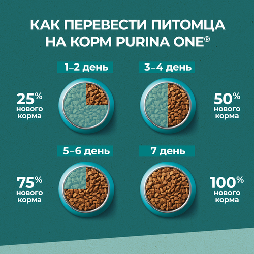 Корм сухой для взрослых кошек PURINA ONE Природа Здоровья со спирулиной, с высоким содержанием курицы, 180г, фотография