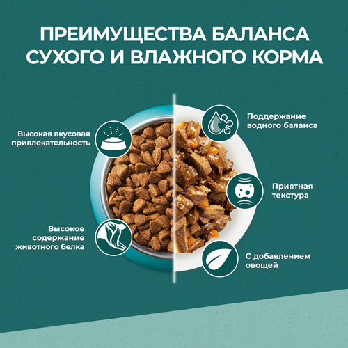 Корм сухой для взрослых кошек PURINA ONE Природа Здоровья со спирулиной, с высоким содержанием курицы, 180г, вид