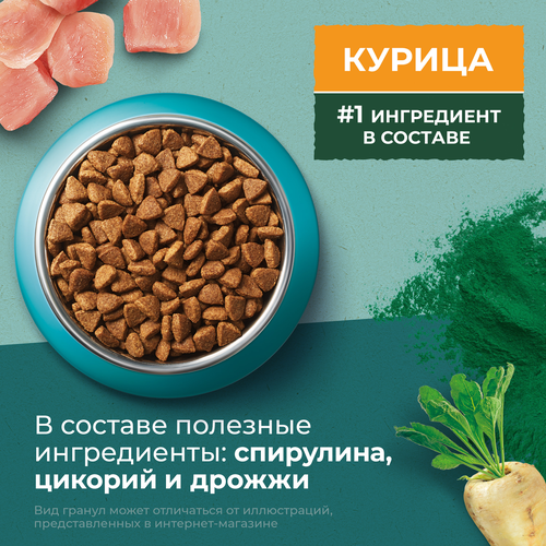 Корм сухой для взрослых кошек PURINA ONE Природа здоровья со спирулиной, с высоким содержанием курицы, 680г, картинка