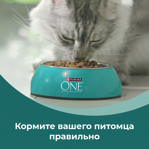 Корм сухой для взрослых кошек PURINA ONE Природа здоровья со спирулиной, с высоким содержанием курицы, 680г, вид