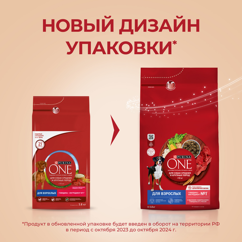 Корм сухой для взрослых собак PURINA ONE для средних и крупных пород, с высоким содержанием говядины и с рисом, 3,8кг, фотография