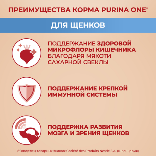 Корм сухой для щенков PURINA ONE для средних и крупных пород, с курицей и рисом, 700г, детальное фото