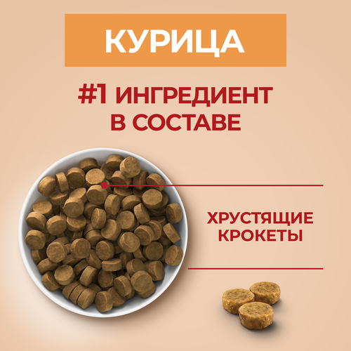 Корм сухой для щенков PURINA ONE для средних и крупных пород, с курицей и рисом, 700г, картинка
