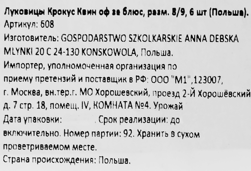 Луковицы Крокус Квин оф зе блюс 8/9, Арт. 608, 6шт, детальное фото
