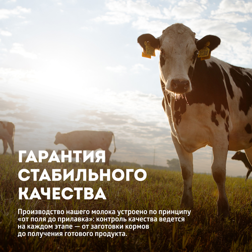 Молоко ультрапастеризованное ЭКОНИВА 2,5%, без змж, 1000мл, крупный план