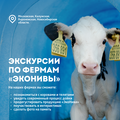 Молоко ультрапастеризованное ЭКОНИВА 2,5%, без змж, 1000мл, вид
