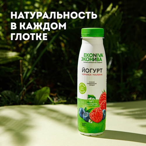 Йогурт питьевой ЭКОНИВА Черника, малина 2,5%, без змж, 300г, крупный план