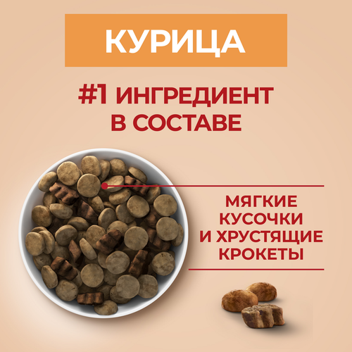 Корм сухой для взрослых собак PURINA ONE Курица, для средних и крупных пород, 1,8кг, вид