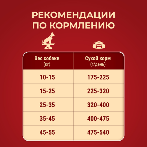 Корм сухой для взрослых собак PURINA ONE Курица, для средних и крупных пород, 1,8кг, вид